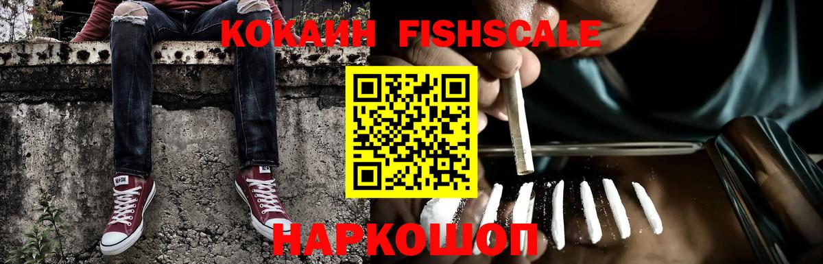 COCAIN Эквадор Богданович