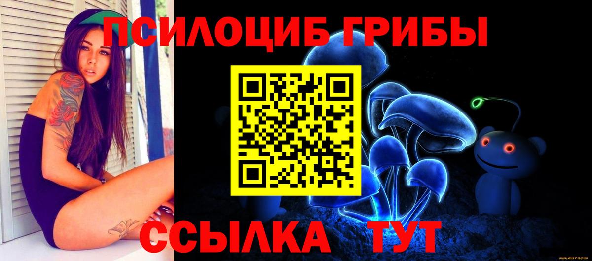 Псилоцибиновые грибы Psilocybe  Галлюциногенные грибы Cubensis  Богданович  Вход с VPN 