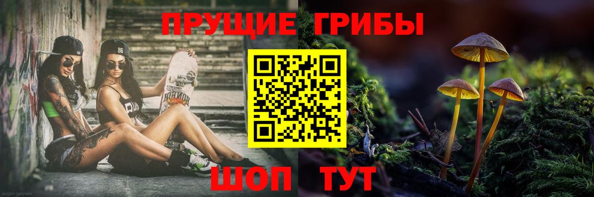 Галлюциногенные грибы прущие грибы Богданович